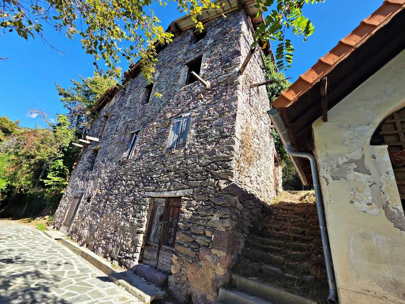 Appartement - 24 m² - 1 pièce