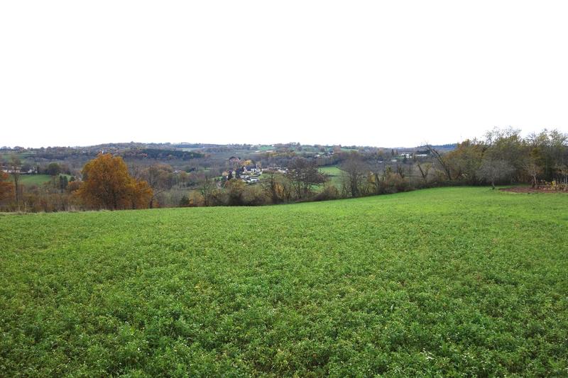 Terrain - 13 556 m²