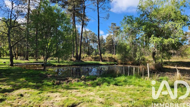 Maison - 175 m² - 5 pièces