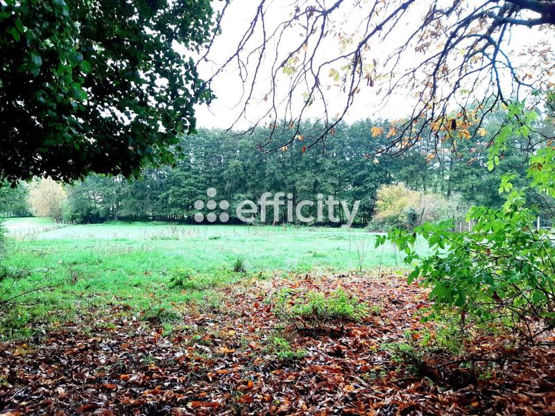 Maison - 99 m² - 4 pièces