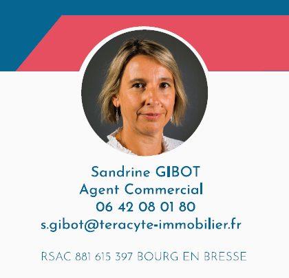 Maison - 258 m² - 7 pièces