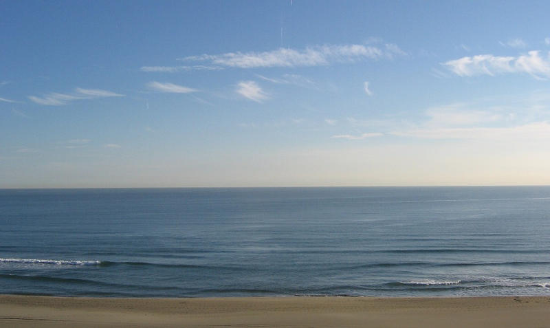 Appartement - 19 m² - 1 pièce