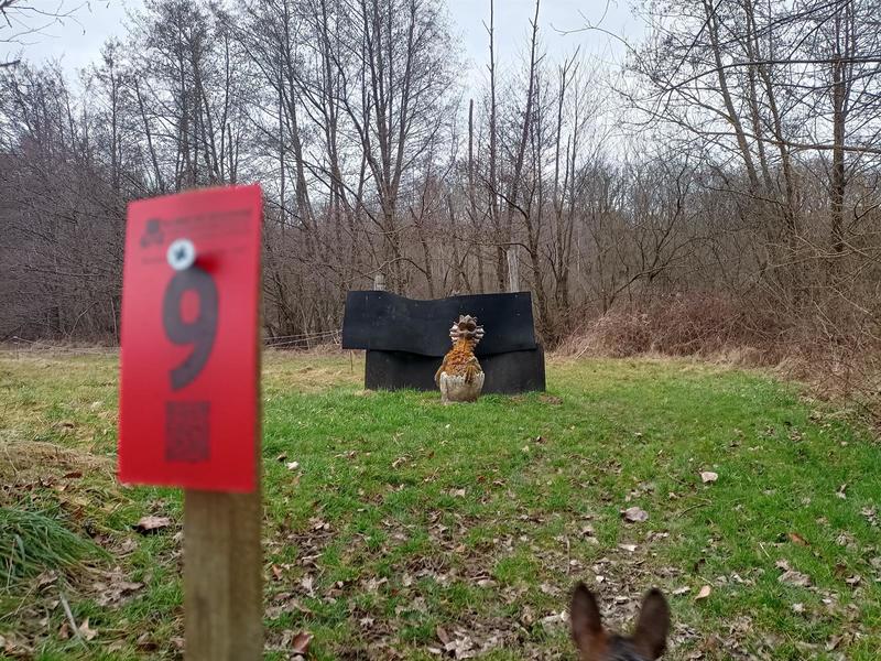 Activité : initiation au tir à l'arc