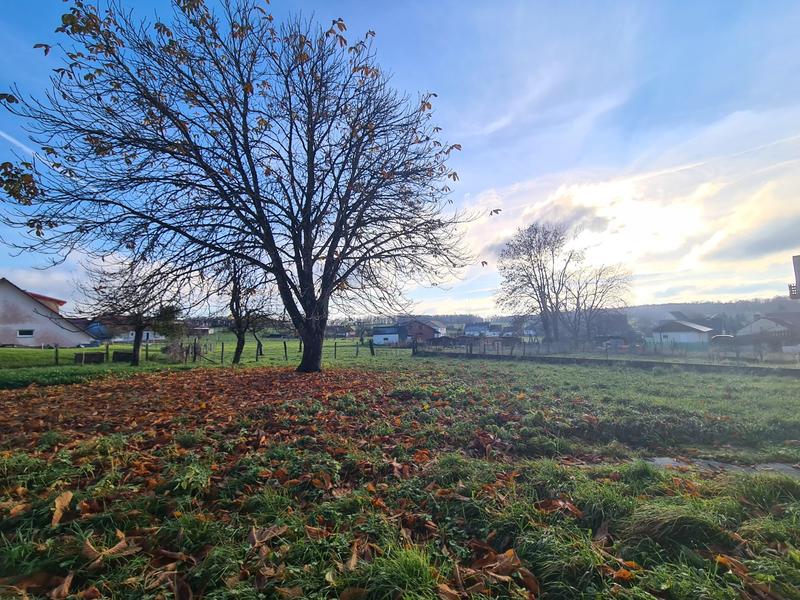 Maison - 100 m² - 6 pièces