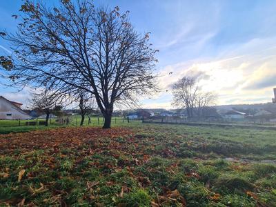 Maison - 100 m² - 6 pièces