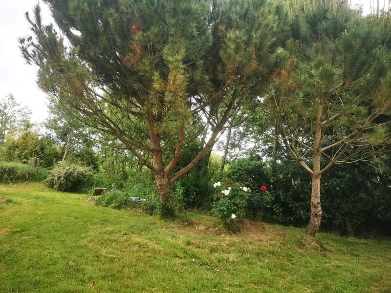 Terrain de loisirs - 9 295 m²