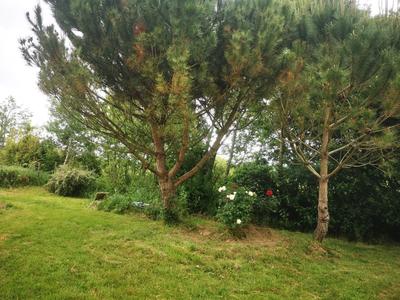 Terrain de loisirs - 9 295 m²