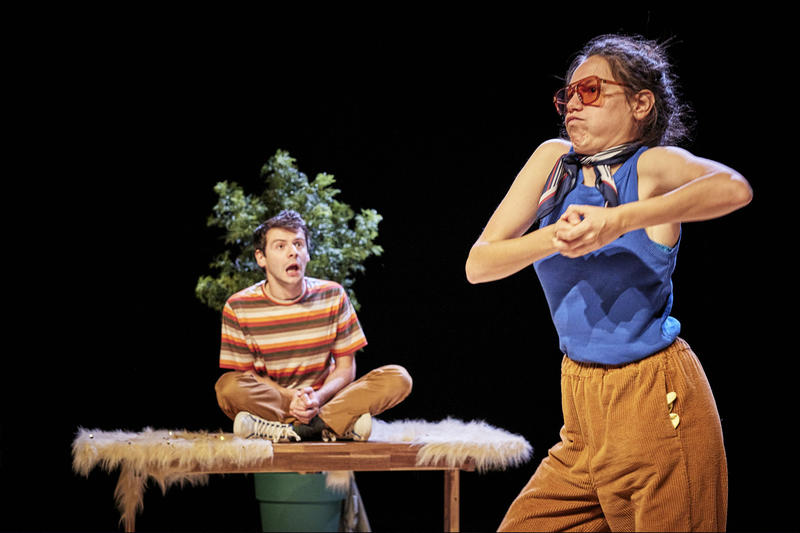 Festival Compli'Cité - les hamsters n’existent pas