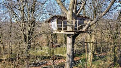 Fonds de commerce - 30 000 m²