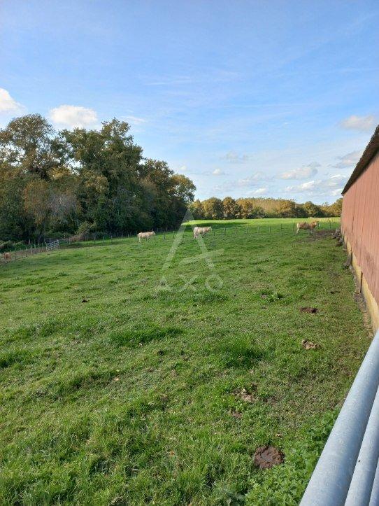 Propriété - 188 m² - 4 pièces