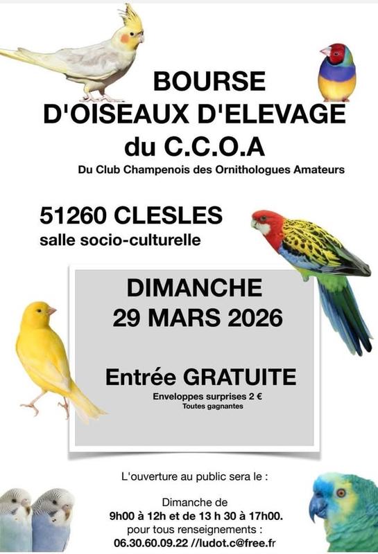 Bourse d'oiseaux d'élevage à Clesles