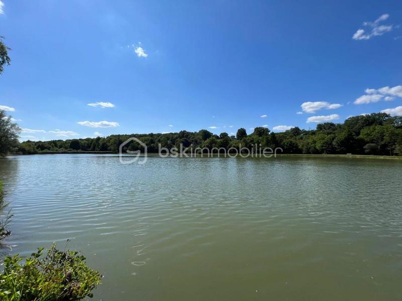 Terrain de loisirs - 3 599 m²