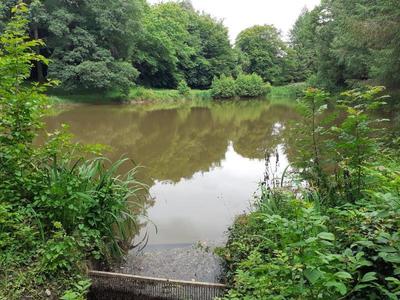 Terrain - 24 860 m²