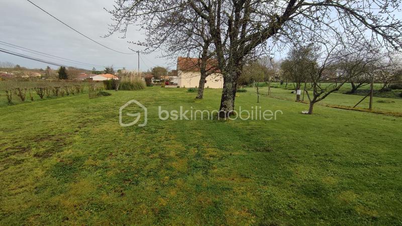 Terrain - 977 m²