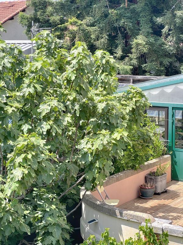 Maison bourgeoise - 139 m² - 6 pièces