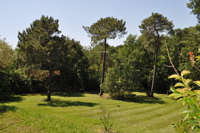 Maison - 225 m² - 6 pièces