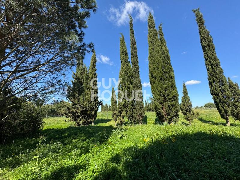 Terrain de loisirs - 28 576 m²