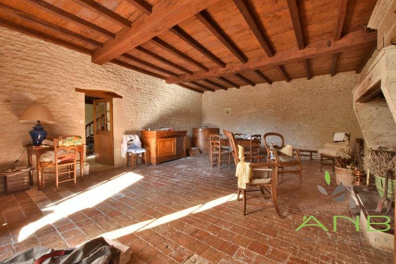 Maison - 481 m² - 12 pièces