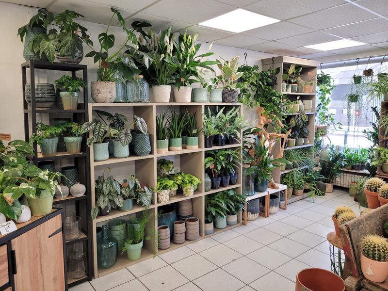 Fonds de commerce - Magasins - 130 m²