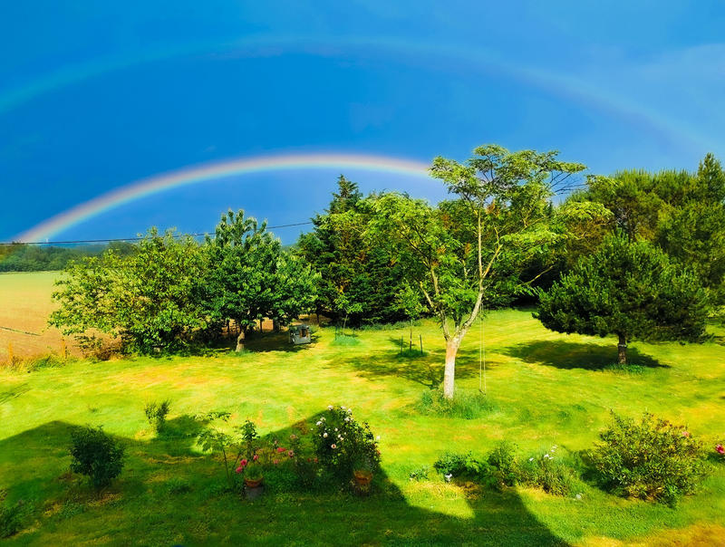 Propriété - 230 m² - 7 pièces