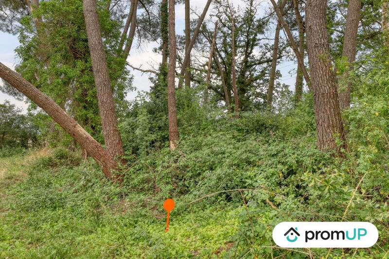 Terrain de loisirs - 982 m²