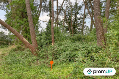 Terrain de loisirs - 982 m²