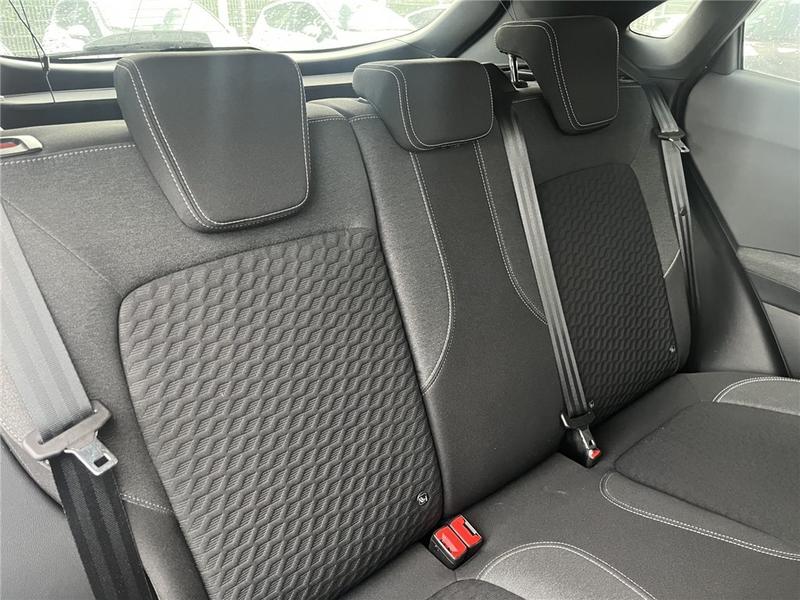 Ford Puma II 1.0 Flexifuel 125 Ch Mhev s&amp;S Bvm6 Titanium Business