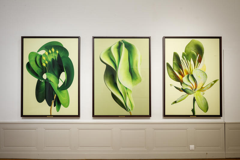 Exposition Chaumont-Photo-sur-Loire