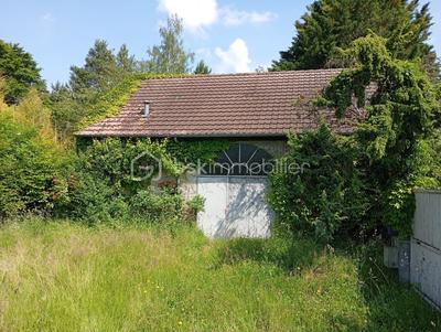 Maison de campagne - 316 m² - 9 pièces