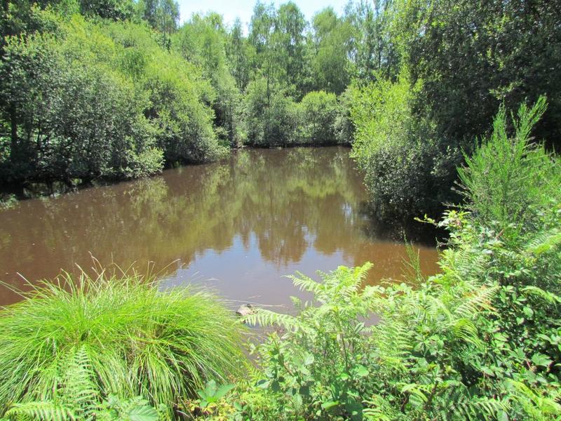 L’avenir de l’eau en Périgord-Limousin