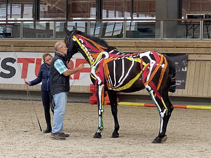 5e Normandy Horse Meet Up