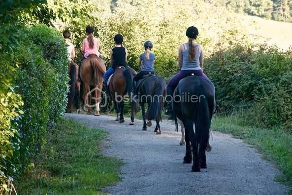 Maison - 600 m² - 30 pièces