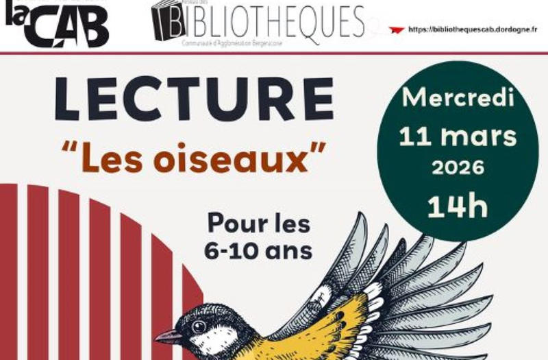 Lecture | les oiseaux