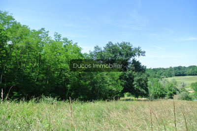 Terrain agricole - 25 560 m²