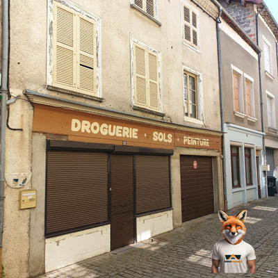 Maison - 199 m² - 9 pièces