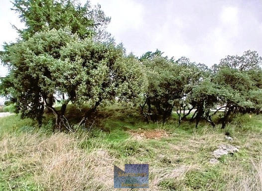 Terrain - 536 m²