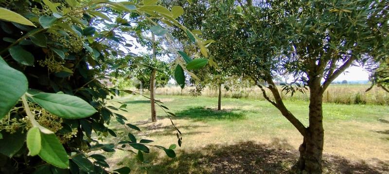 Maison traditionnelle - 115 m² - 6 pièces