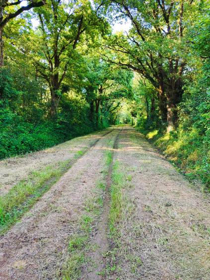 Terrain de loisirs - 44 170 m²