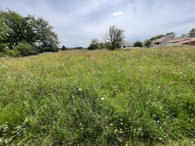 Terrain - 4 000 m²