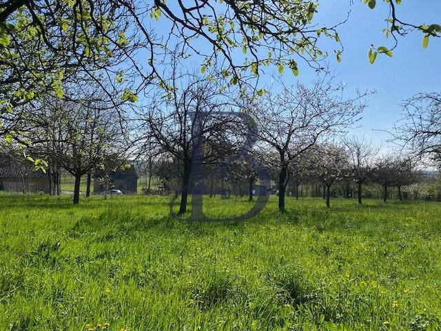 Maison ancienne - 150 m² - 4 pièces