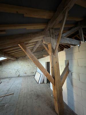 Cave / Box - 309 m²