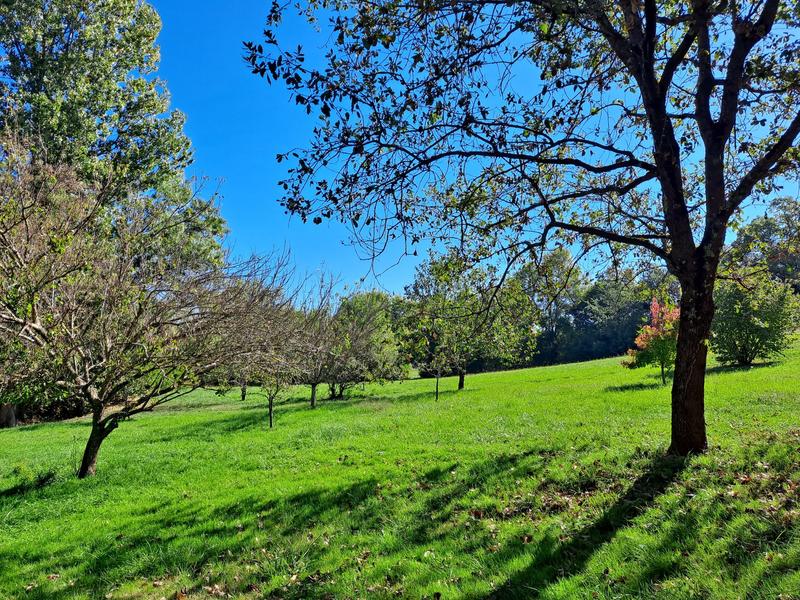 Maison - 175 m² - 6 pièces