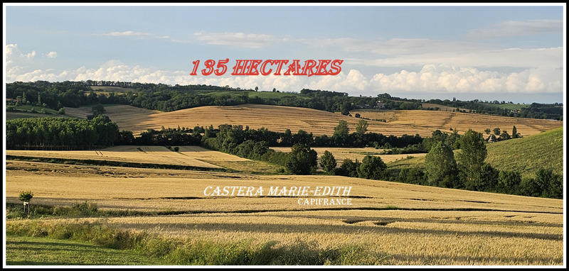 Propriété - 860 m² - 1 pièce