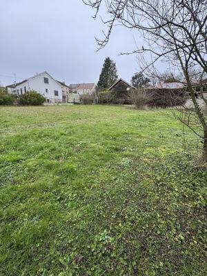 Terrain - 981 m²