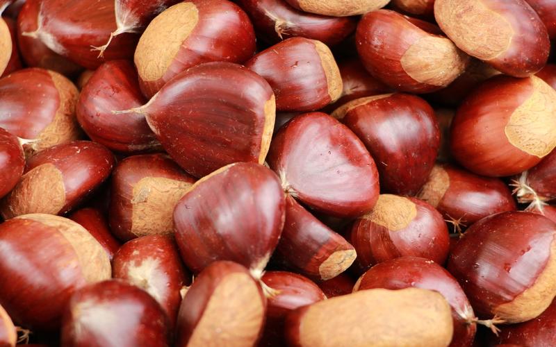 Marché aux produits de bouche et créateurs