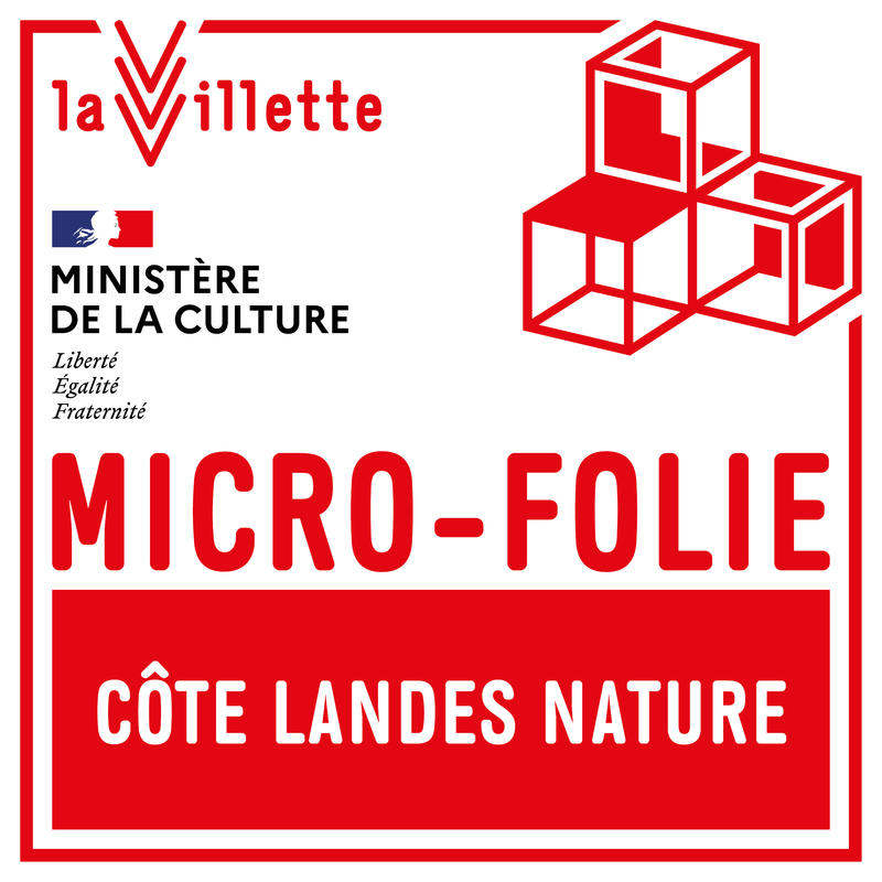 Micro-Folie &quot;Création d'une mini exposition contemporaine&quot;