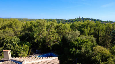 Maison bourgeoise - 318 m² - 11 pièces