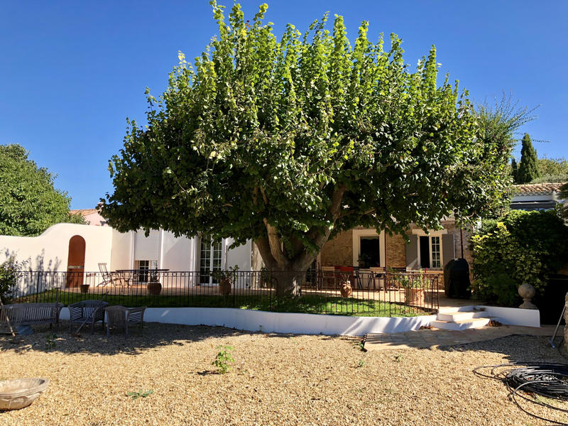 Propriété - 250 m² - 6 pièces