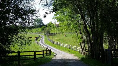 Maison - 310 m² - 7 pièces