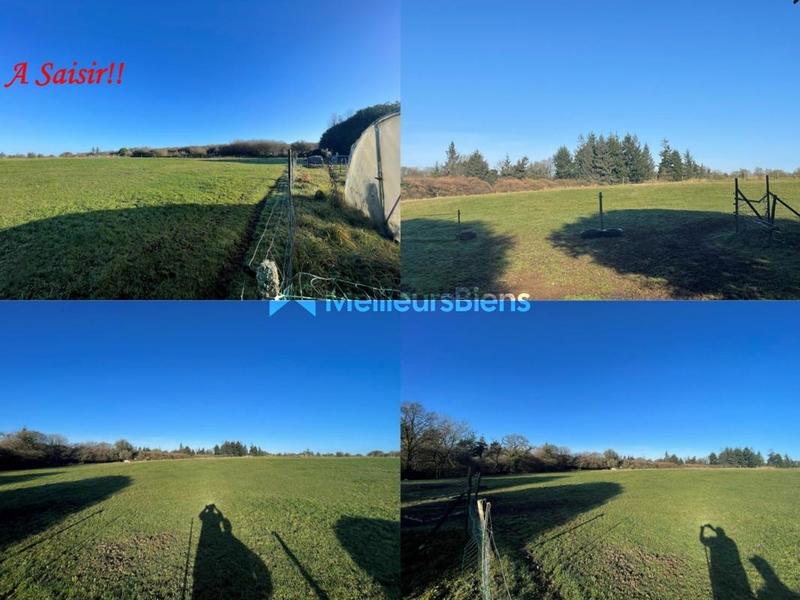 Propriété - 186 m² - 11 pièces